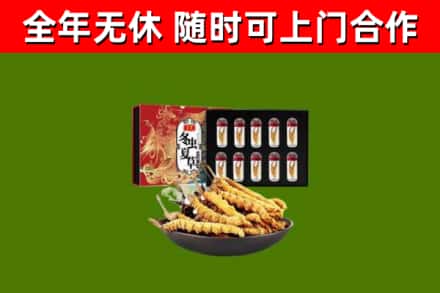 邵东烟酒回收冬虫夏草礼盒.jpg